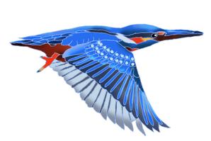 ki-mi  (ki2116)さんの学習塾で使用するカワセミ（鳥）のイラストへの提案