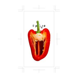 blanco ()さんの総額18万円のスマホケースデザイン募集です！への提案