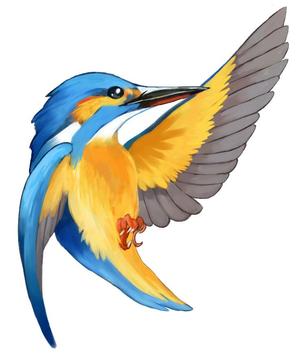 蒼川 ()さんの学習塾で使用するカワセミ（鳥）のイラストへの提案