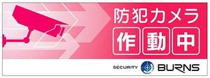 iris3024 (iris3024)さんの防犯カメラのステッカーデザインへの提案