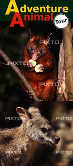 BK WORKS (BK_WORKS)さんの【英語版】ツアーパンフレット制作(4つ折り)への提案