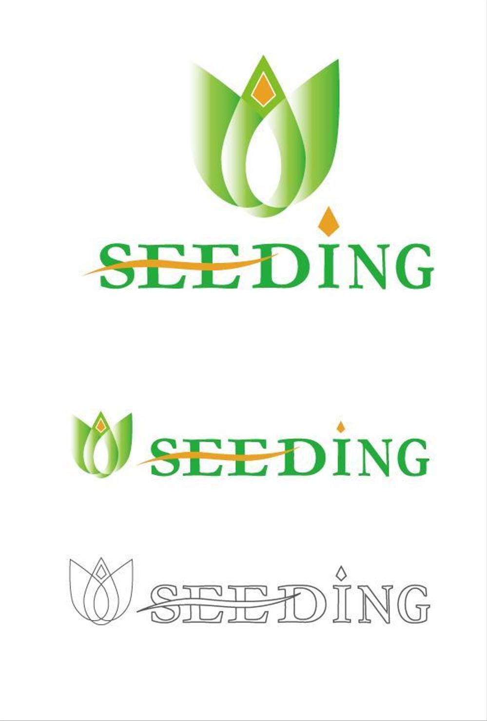 SEEDING_3.jpg