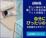 ii2kさんの不動産会社の広告バナー制作依頼への提案