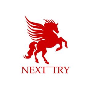 hosokawa_solicitorさんの「NEXT TRY」のロゴ作成への提案