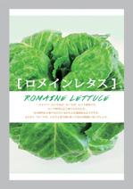 sht_umr (sht_umr)さんの野菜のパッケージデザインへの提案