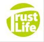 morphoさんの会社ロゴの制作への提案