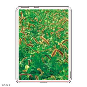 K'z Design Factory (kzdesign)さんの楽天の電子ブックリーダーKobo Glo専用ケースプリントデザインへの提案