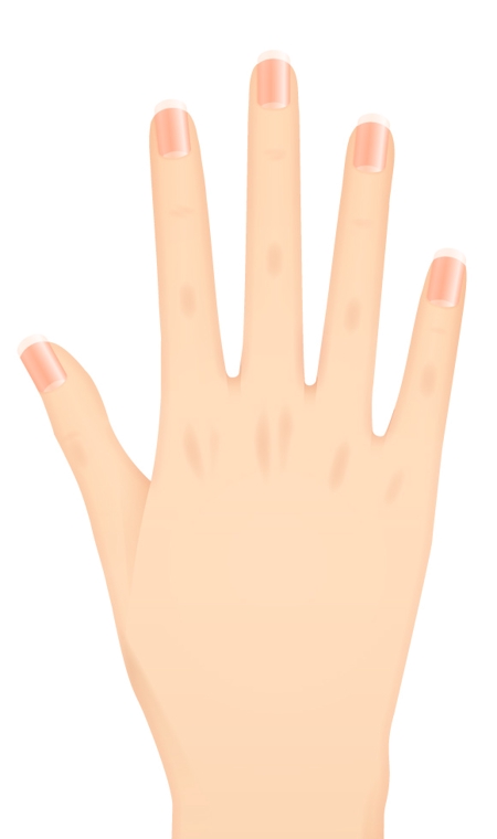 女性向けネイルデザインアプリ スマフォアプリ で使用する爪 指 手のイラストの依頼 外注 イラスト制作の仕事 副業 ランサーズ