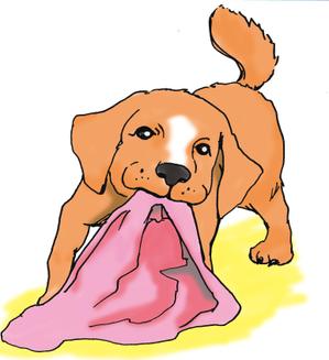 かなた (kanata19)さんの日本最大級のペット保護施設のPR動画に使用する犬（猫）のイラストへの提案