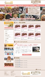 古川恵子 (rriinnddoouu)さんの犬・猫のブリーダーズショップのホームページリニューアルデザイン（コーディング不要）への提案