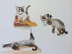 Hiromi-H (HiromiHiramatu)さんの猫のイラストー写真を基にLineのスタンプ用のイラストを書いていただきます。への提案