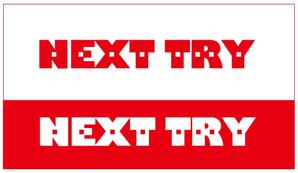 aggregat lugh (agglugh)さんの「NEXT TRY」のロゴ作成への提案