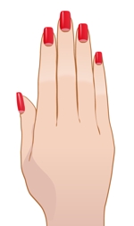 女性向けネイルデザインアプリ スマフォアプリ で使用する爪 指 手のイラストの依頼 外注 イラスト制作の仕事 副業 クラウドソーシング ランサーズ Id