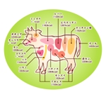 Kanten (kanten)さんの牛ホルモン部位・名称の説明イラストへの提案
