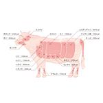 はちくましほ (Shiho-bloom)さんの牛ホルモン部位・名称の説明イラストへの提案