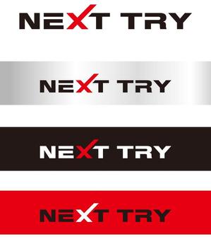 serve2000 (serve2000)さんの「NEXT TRY」のロゴ作成への提案