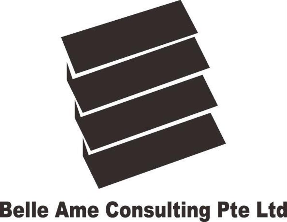 Belle Ame Consulting Pte.jpg