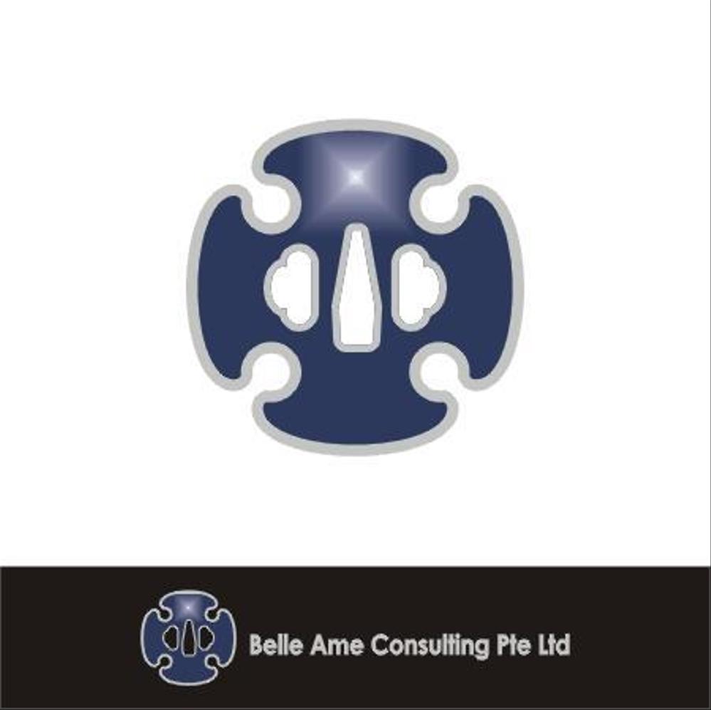 Belle Ame Consulting Pte Ltd.jpg