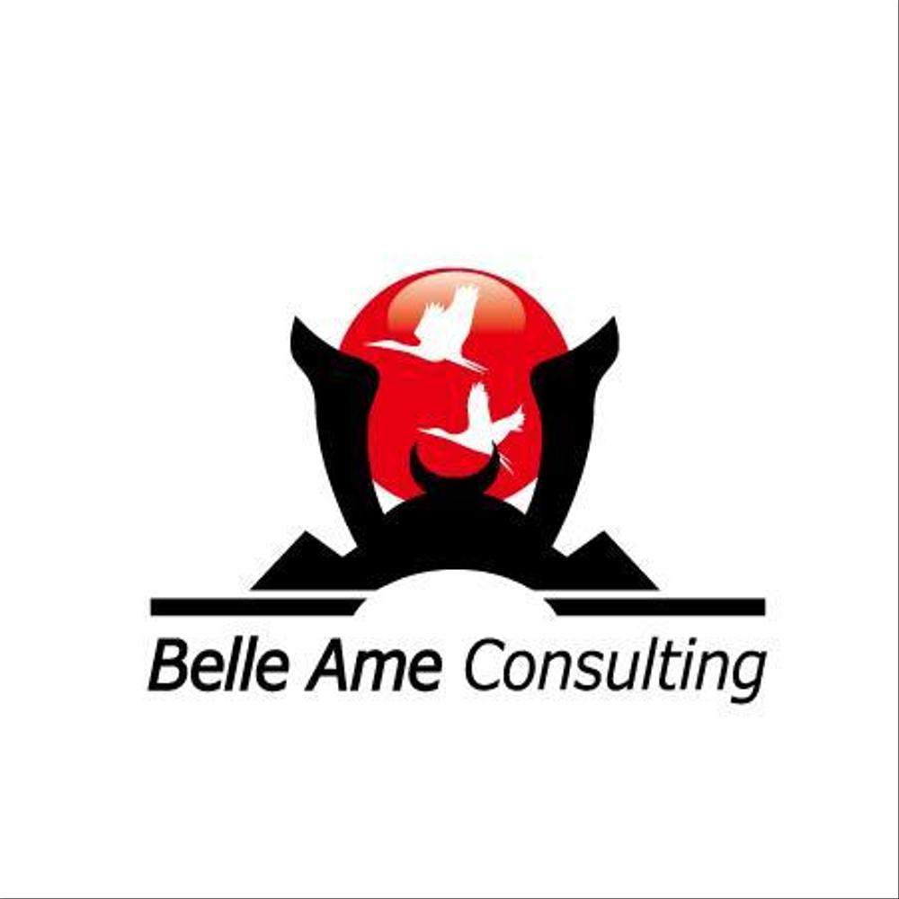 Belle-Ame-Consulting01.jpg