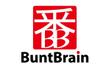 BuntBrain01.jpg