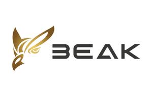 FISHERMAN (FISHERMAN)さんのスマートフォン向けアプリ等の開発会社「BEAK株式会社」のロゴへの提案