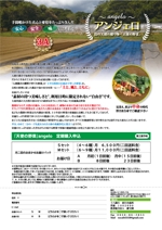 RITACODE（リタコード） (yorozuyo8)さんの野菜の定期購入チラシへの提案