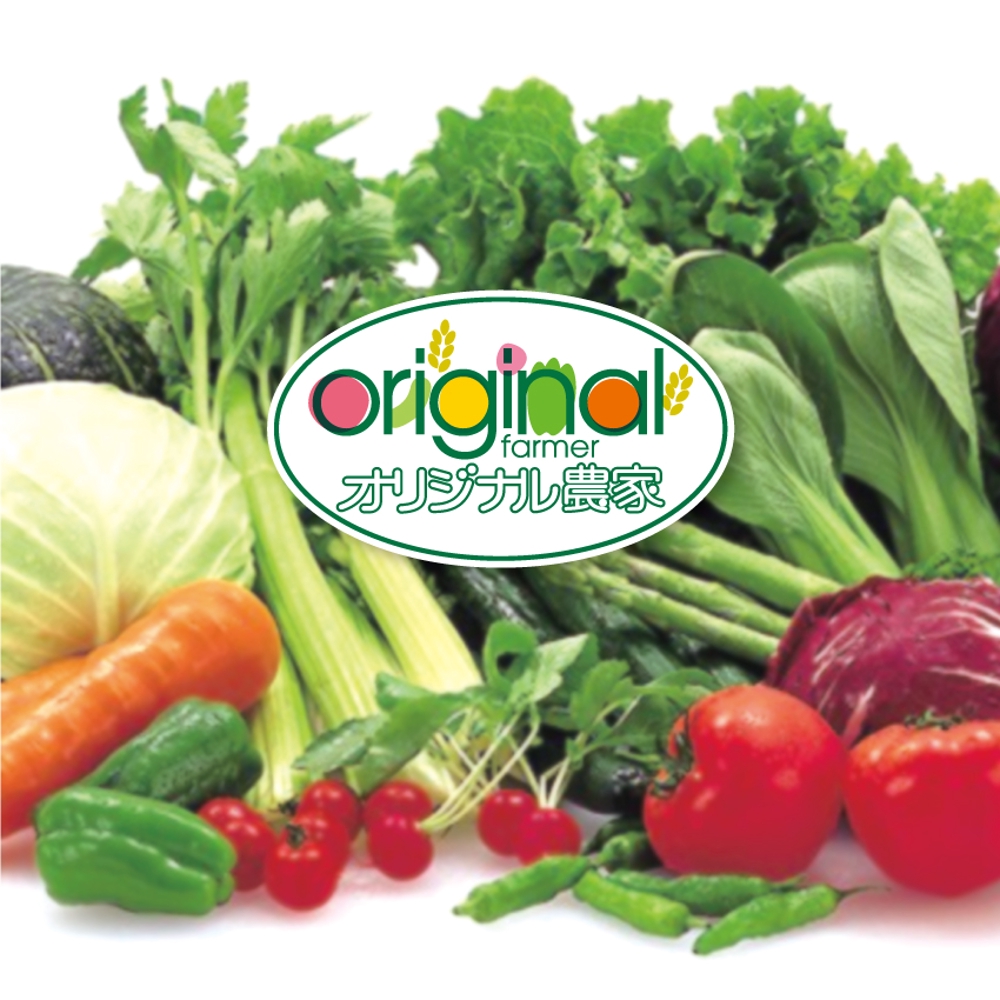 愛知県知多半島地方の農業生産法人「株式会社オリジナル農家」のロゴ