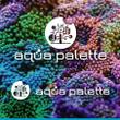 aqua-palette-image.jpg