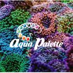 K&K (illustrator_123)さんの【急募】サンゴ専門店『aqua palette』のロゴへの提案