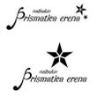 PRISMATICA-ERENAmono.jpg