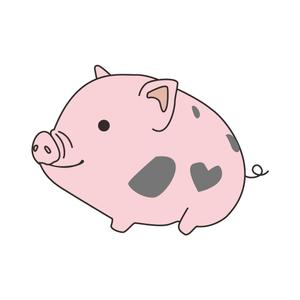 aymt ()さんのかわいい動物(ミニブタ)のイラストへの提案