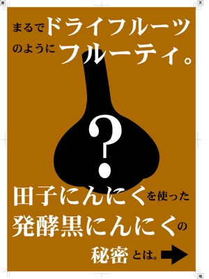 杉迫一樹 (zukka)さんの発酵黒にんにくの通信販売販促チラシへの提案