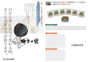 ikadさんの発酵黒にんにくの通信販売販促チラシへの提案