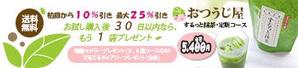 株式会社北川エンタープライズ (kitagawaenterprise)さんの自然なお通じを促す「するっと抹茶」の定期コース誘導バナー作成（コンペ選考用１点）への提案