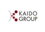 LAMF (LAMF)さんの総合ITコンサルティング会社「KAIDO GROUP」のロゴへの提案