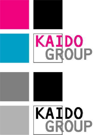 FORME DESIGN (fd-ino3)さんの総合ITコンサルティング会社「KAIDO GROUP」のロゴへの提案
