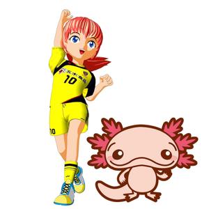 ３Ｄ大好き人間 (osamu725)さんのサッカー女子（女の子）のイラストへの提案