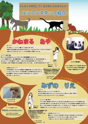 はるちゃん (haru_ken)さんのスタッフ紹介のチラシのデザイン依頼への提案