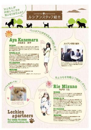 Bbike (hayaken)さんのスタッフ紹介のチラシのデザイン依頼への提案