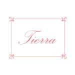 プロのマルチクリエイター　Designing (Designing)さんのレディースシューズブランド「Tierra」のロゴへの提案