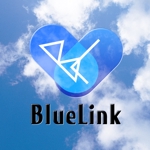 ima_gogo (ima_gogo)さんのIT企業「株式会社ブルーリンク」（英表記：BlueLink）のロゴへの提案