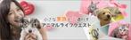 Nao (nao_p)さんのペットとのコミュニケーションセッションを表現したバナー（Facebookページ、ブログヘッダー）への提案