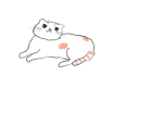 かえるじゃくし (kaeru-jakushi)さんの猫（洋ネコ）のキャラクターデザイン【生地にプリントします】への提案