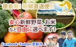 sakuhanano (yumecosan)さんの農産物販売のネットショップバナーへの提案