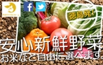 syoichi ()さんの農産物販売のネットショップバナーへの提案