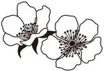 tea_treeさんのラズベリーの花のイラスト（墓石彫刻に利用します）への提案