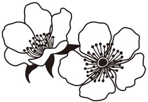 tea_treeさんのラズベリーの花のイラスト（墓石彫刻に利用します）への提案