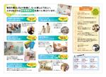 CyanCreative  (CyanCreative)さんのリハビリ施設のパンフレットへの提案