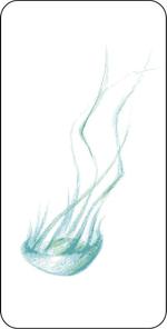 Shizuto (Shizuto-A)さんの「クラゲ」のスマホカバーのデザイン（5件以上当選）への提案