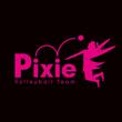 Pixie_v2_01.jpg